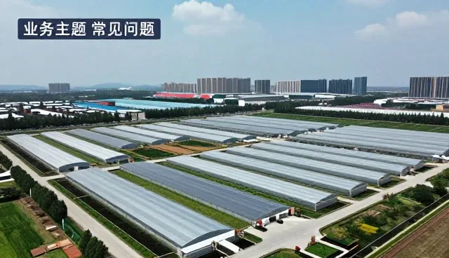 绿化养护服务在家庭场景中的多维度应用